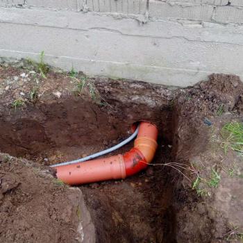 Евролос Био 8+